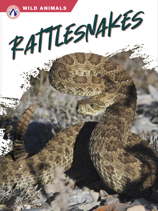 Title details for Rattlesnakes by Libby Wilson - Available